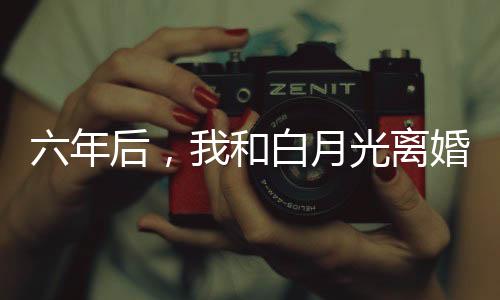 《夫人每天都在线打脸》全文在线阅读