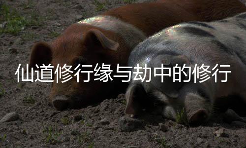 《惊！糙汉老公是年代文隐藏大佬》全文在线阅读
