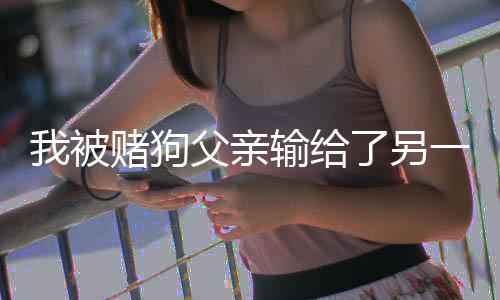 《八零对照组：换亲后，我被团宠了》全文在线阅读