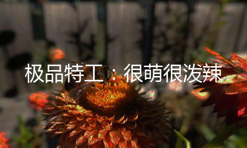 《许你万丈光芒好》全文在线阅读