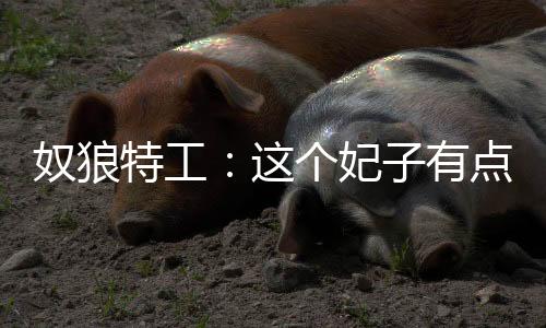 《大神你人设崩了》全文在线阅读