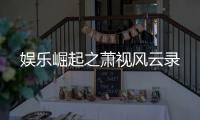 娱乐崛起之萧视风