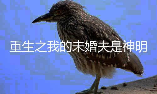 《重生年代，福气包在厂区吃瓜看戏》全文在线阅读