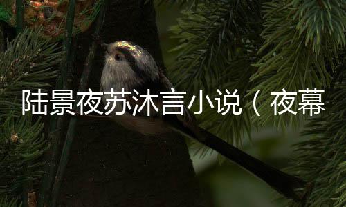 《重生年代，福气包在厂区吃瓜看戏》全文在线阅读