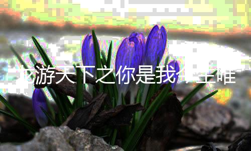 《别闹，薄先生！》全文在线阅读